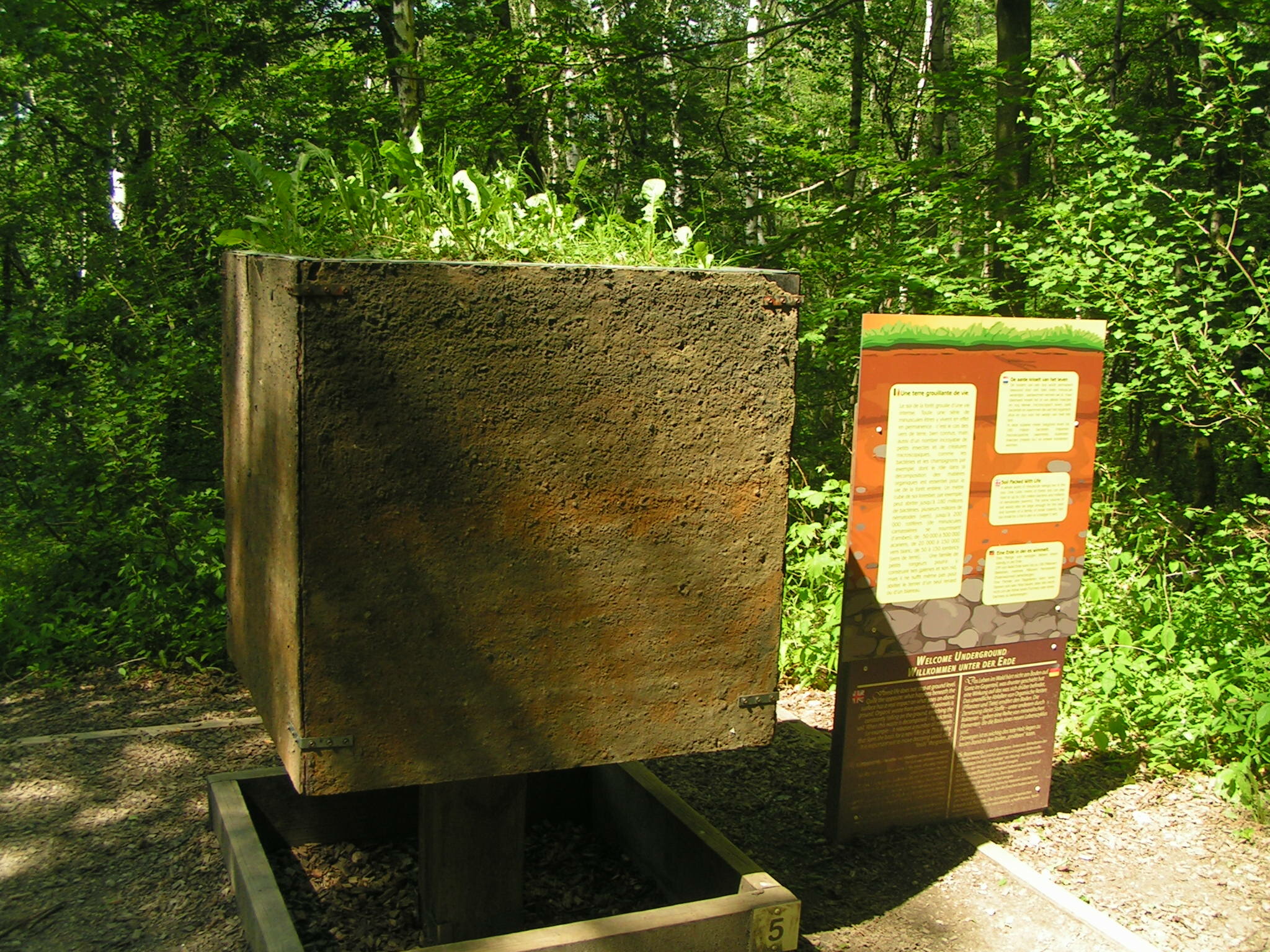 Un mètre cube de terre