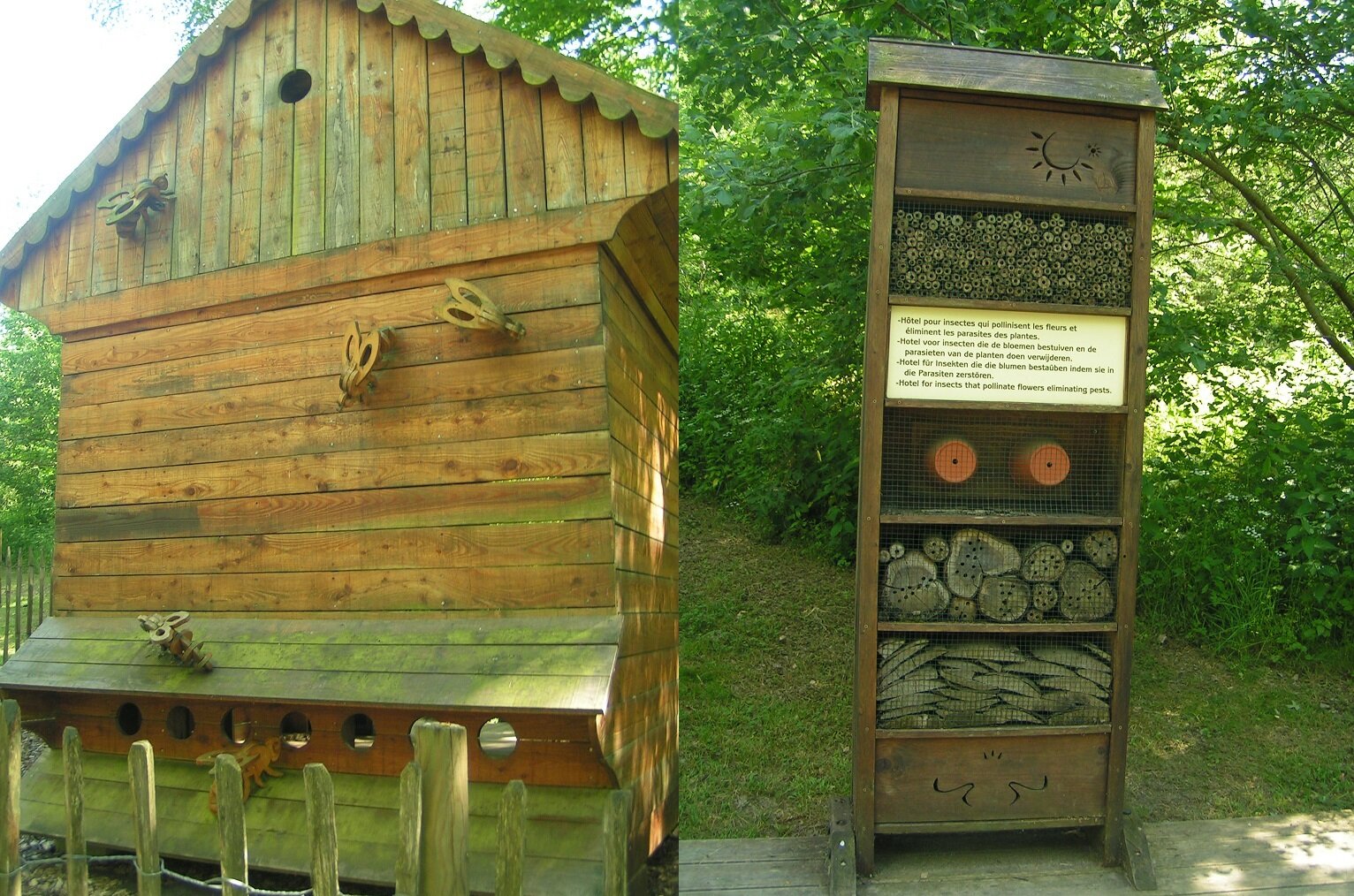 Ruche géante et hôtel à insectes