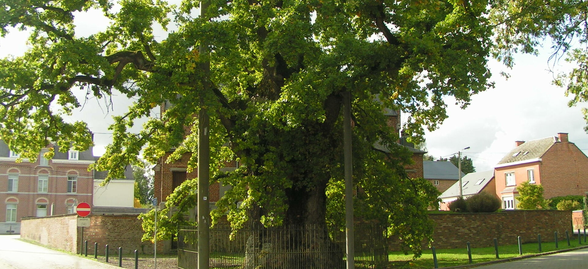 pict1013-1.jpg