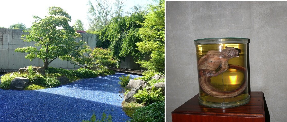 À gauche, le jardin japonais ; à droite, une "sirène"